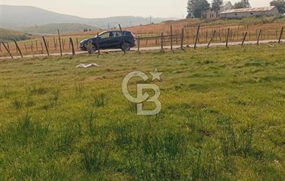 ÇAMBAŞI TURNALIK TA MÜKEMMEL ARAZİ