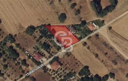 KORKUTELİ BOZOVADA YOLA CEPHE 1.085 M2 SATILIK TARLA