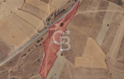 KORKUTELİ BOZOVADA ASFALT YOLA CEPHE 10.117 M2 SATILIK TARLA