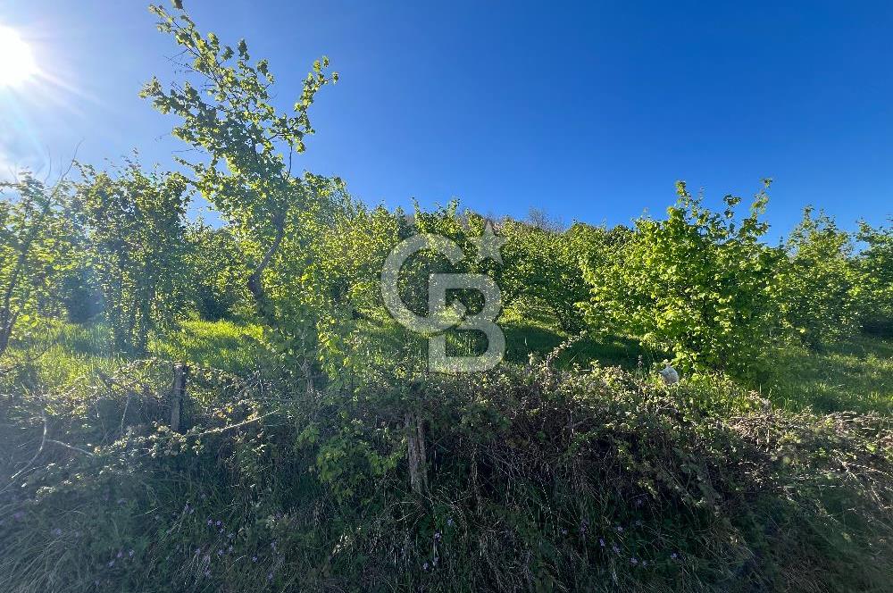 KOCAELİ KARTEPE/ EŞME AHMEDİYE'DE SATILIK 6028 M2 MANZARALI ARSA