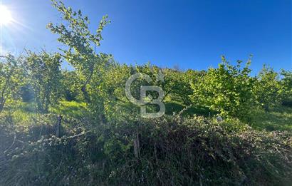 KOCAELİ KARTEPE/ EŞME AHMEDİYE'DE SATILIK 6028 M2 MANZARALI ARSA