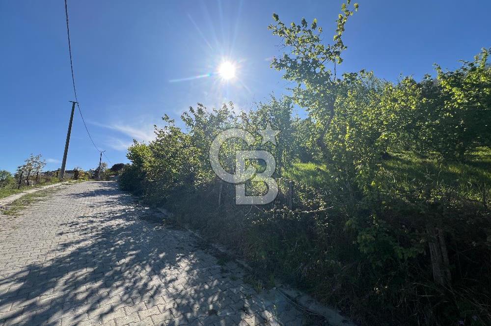 KOCAELİ KARTEPE/ EŞME AHMEDİYE'DE SATILIK 6028 M2 MANZARALI ARSA