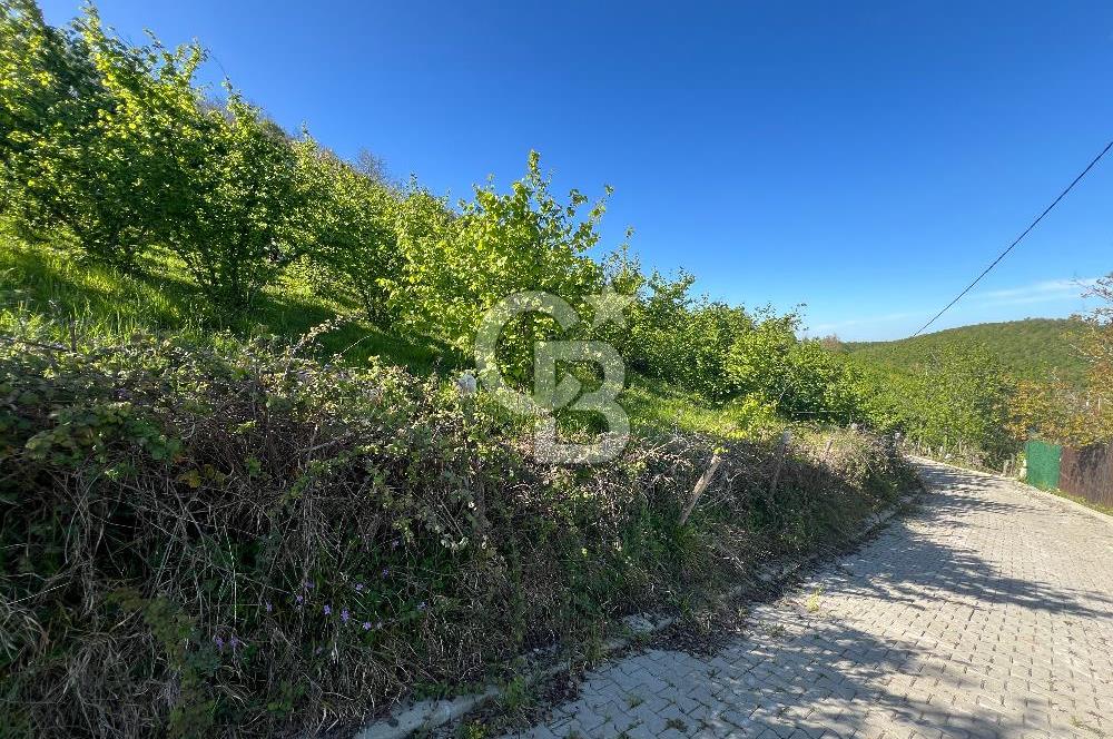 KOCAELİ KARTEPE/ EŞME AHMEDİYE'DE SATILIK 6028 M2 MANZARALI ARSA
