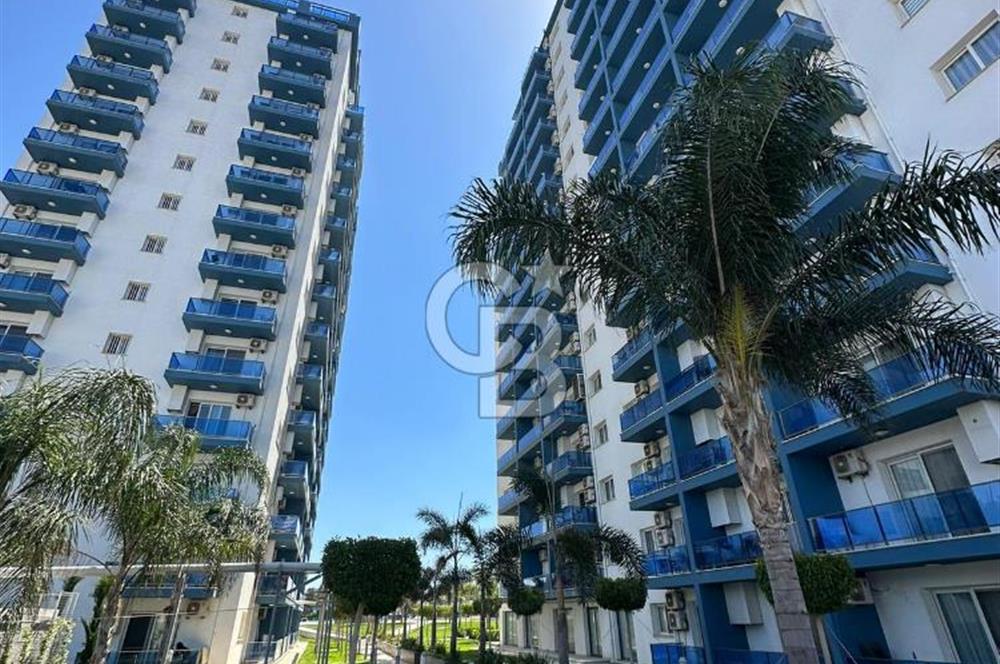 DENİZ MANZARALI STUDYO DAİRE