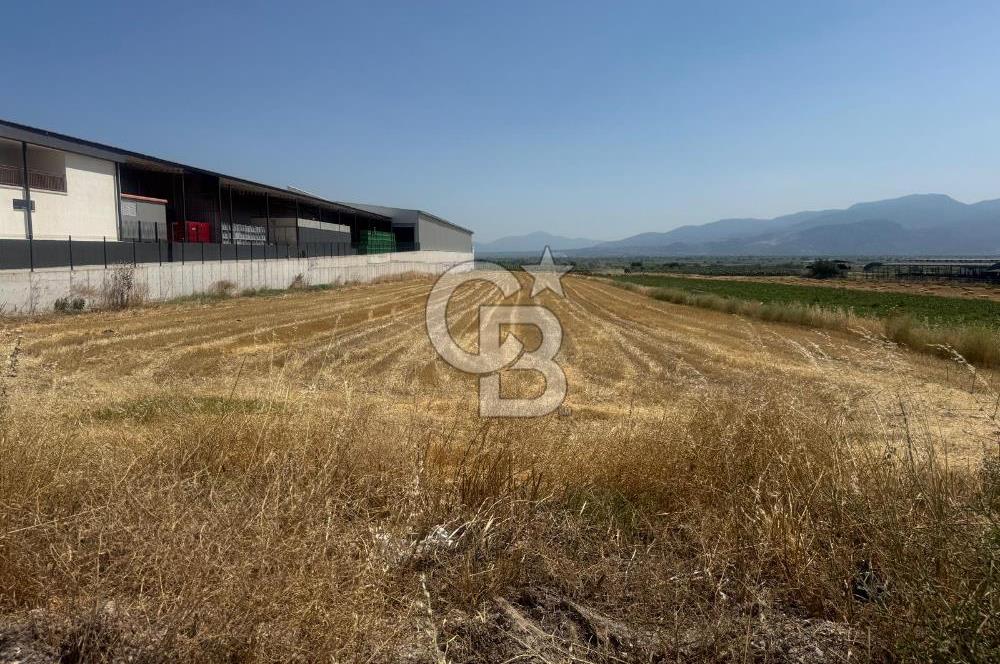 SARUHANLI KOLDERE'DE YOLA CEPHELİ TİCARİ VE SANAYİ İMARLI ARSA