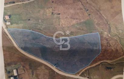 ÇAMBAŞI TURNALIK TA MÜKEMMEL ARAZİ