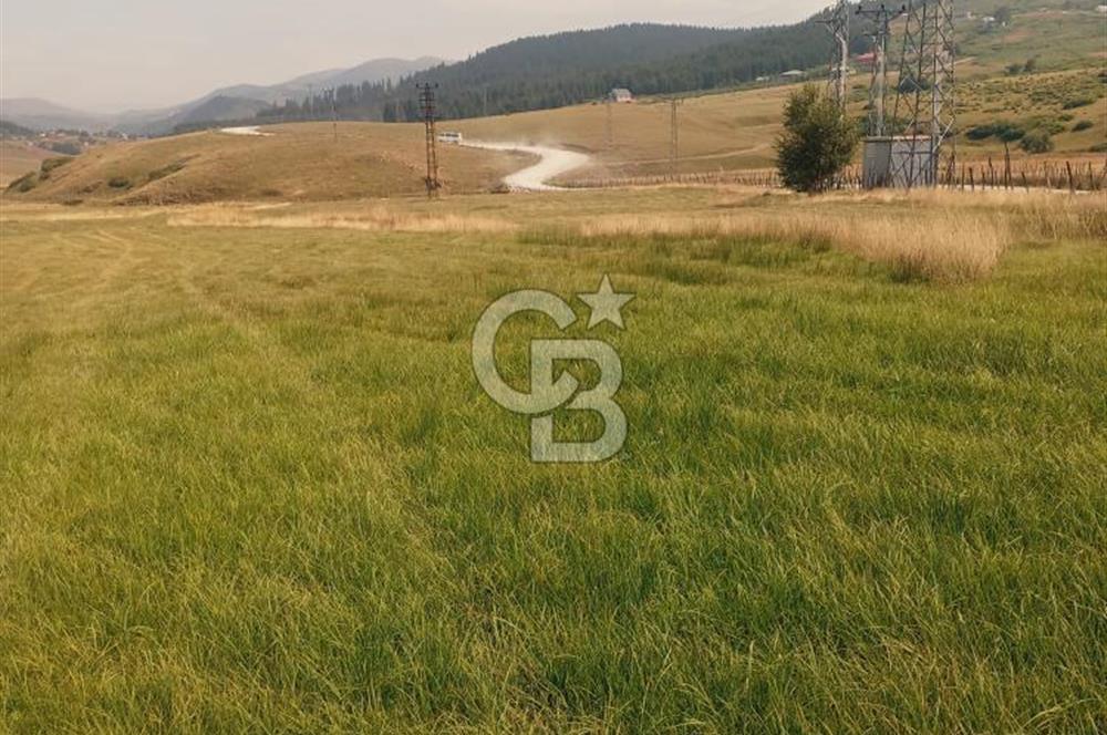ÇAMBAŞI TURNALIK TA MÜKEMMEL ARAZİ