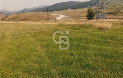 ÇAMBAŞI TURNALIK TA MÜKEMMEL ARAZİ