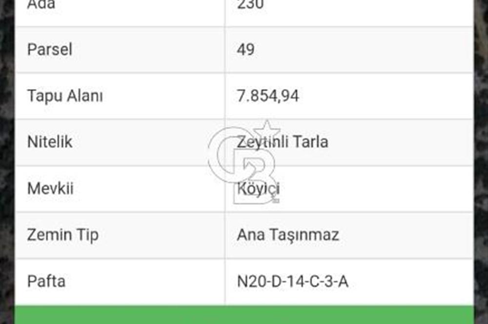 🌿 MUĞLA MENTEŞE DENİZOVA’DA YATIRIMLIK ZEYTİNLİK – KÖYİÇİ YERLEŞİK ALANA KOMŞU!