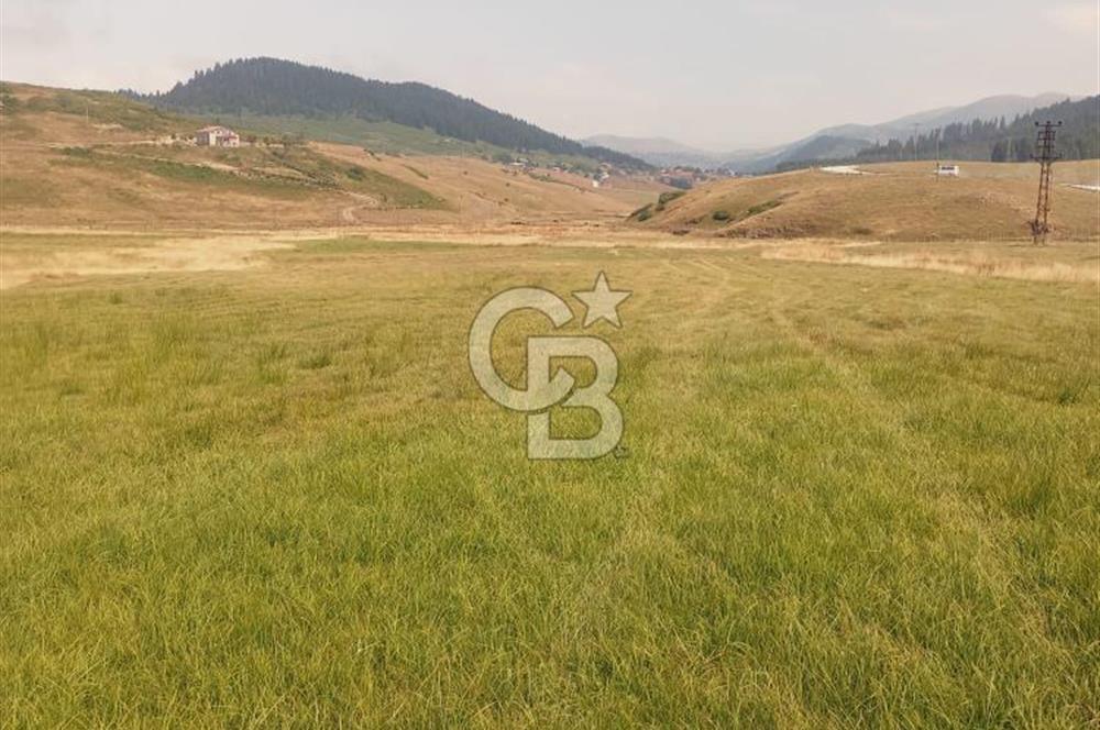 ÇAMBAŞI TURNALIK TA MÜKEMMEL ARAZİ