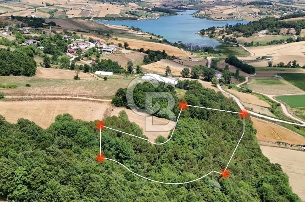 CB TAN-KOCAELİ/DERİNCE/GEREDELİ GÖL MANZARALI/GÖLE YÜRÜME MESAFESİNDE/DOĞA İLE İÇ İÇE 7.757M2 SATILIK ARSA