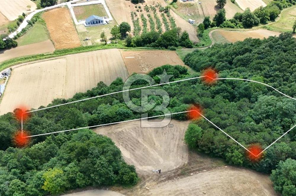 CB TAN-KOCAELİ/DERİNCE/GEREDELİ GÖL MANZARALI/GÖLE YÜRÜME MESAFESİNDE/DOĞA İLE İÇ İÇE 7.757M2 SATILIK ARSA