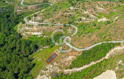 Kuşadası Soğucak’ta 316,15m² Satılık Konut İmarlı Arsa!