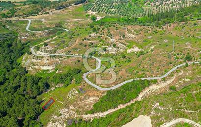 Kuşadası Soğucak’ta 307,77m² Satılık Konut İmarlı Arsa!
