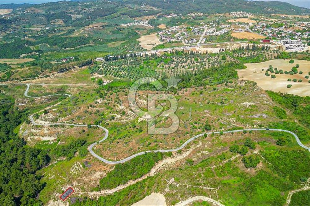 Kuşadası Soğucak’ta 346,53m² Satılık Konut İmarlı Arsa!