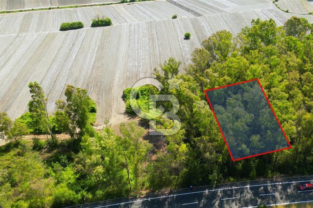 Muğla Ula Sarayyanı Satılık Tarla 