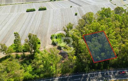 Muğla Ula Sarayyanı Satılık Tarla 