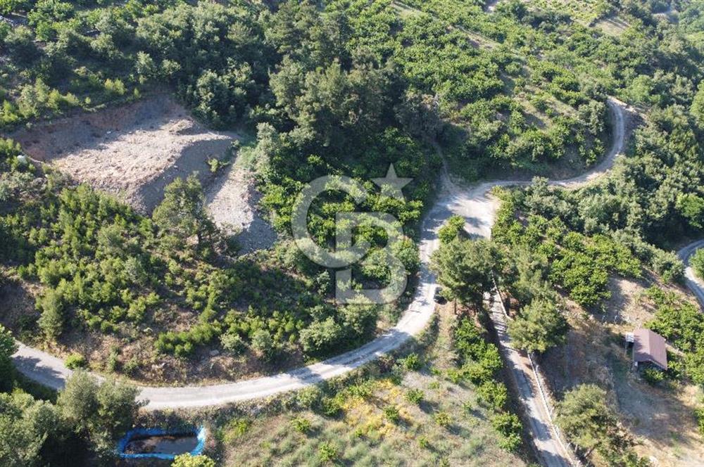 YENİKURUDERE DE YOLU AÇIK MANZARALI SUYU OLAN SATILIK ARAZİ 