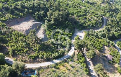 YENİKURUDERE DE YOLU AÇIK MANZARALI SUYU OLAN SATILIK ARAZİ 