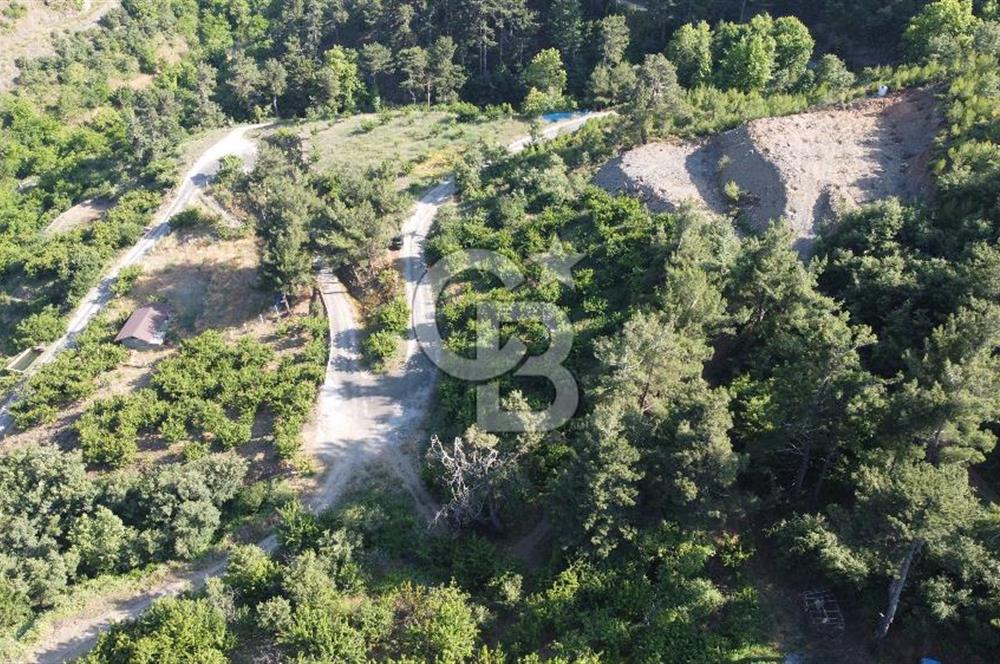 YENİKURUDERE DE YOLU AÇIK MANZARALI SUYU OLAN SATILIK ARAZİ 