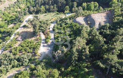 YENİKURUDERE DE YOLU AÇIK MANZARALI SUYU OLAN SATILIK ARAZİ 