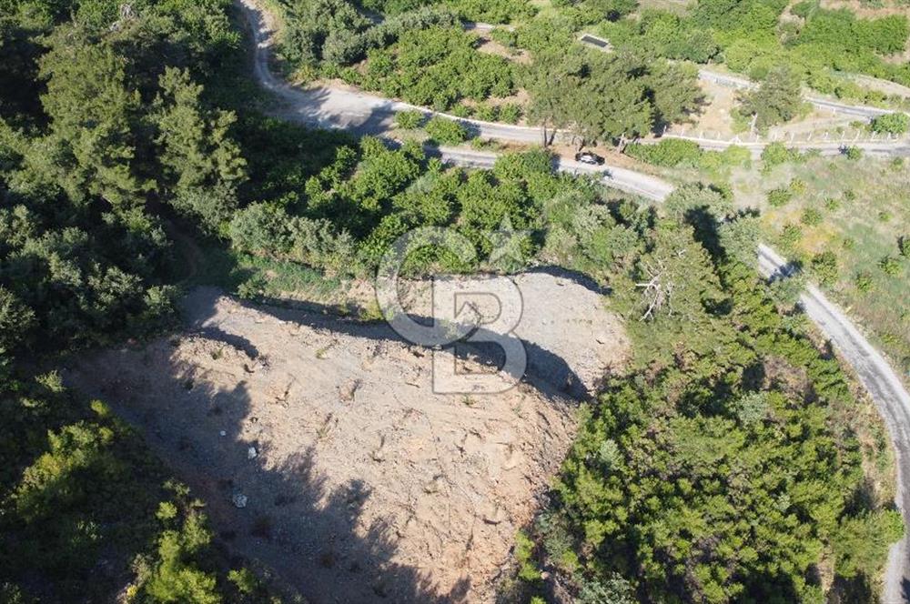 YENİKURUDERE DE YOLU AÇIK MANZARALI SUYU OLAN SATILIK ARAZİ 