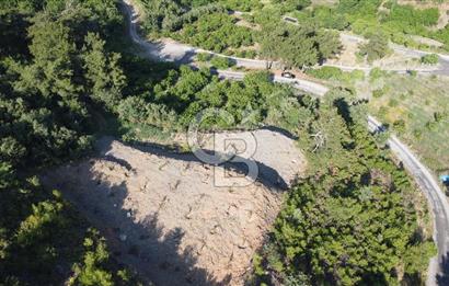 YENİKURUDERE DE YOLU AÇIK MANZARALI SUYU OLAN SATILIK ARAZİ 