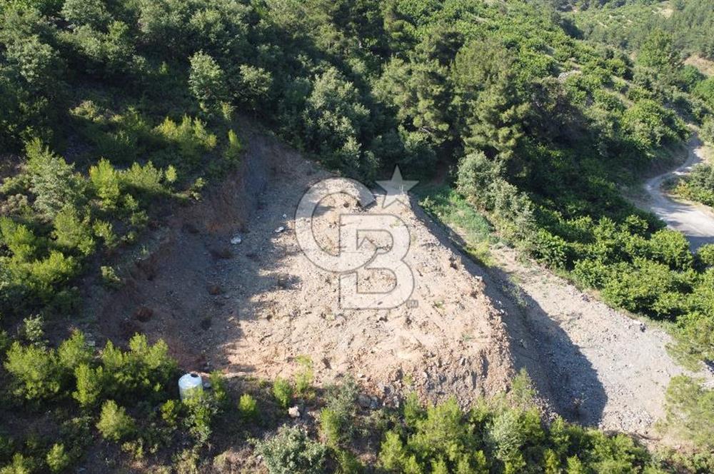YENİKURUDERE DE YOLU AÇIK MANZARALI SUYU OLAN SATILIK ARAZİ 