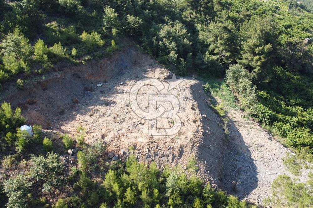 YENİKURUDERE DE YOLU AÇIK MANZARALI SUYU OLAN SATILIK ARAZİ 