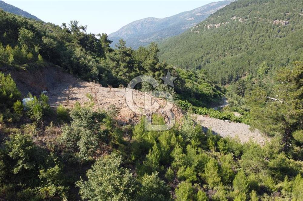 YENİKURUDERE DE YOLU AÇIK MANZARALI SUYU OLAN SATILIK ARAZİ 