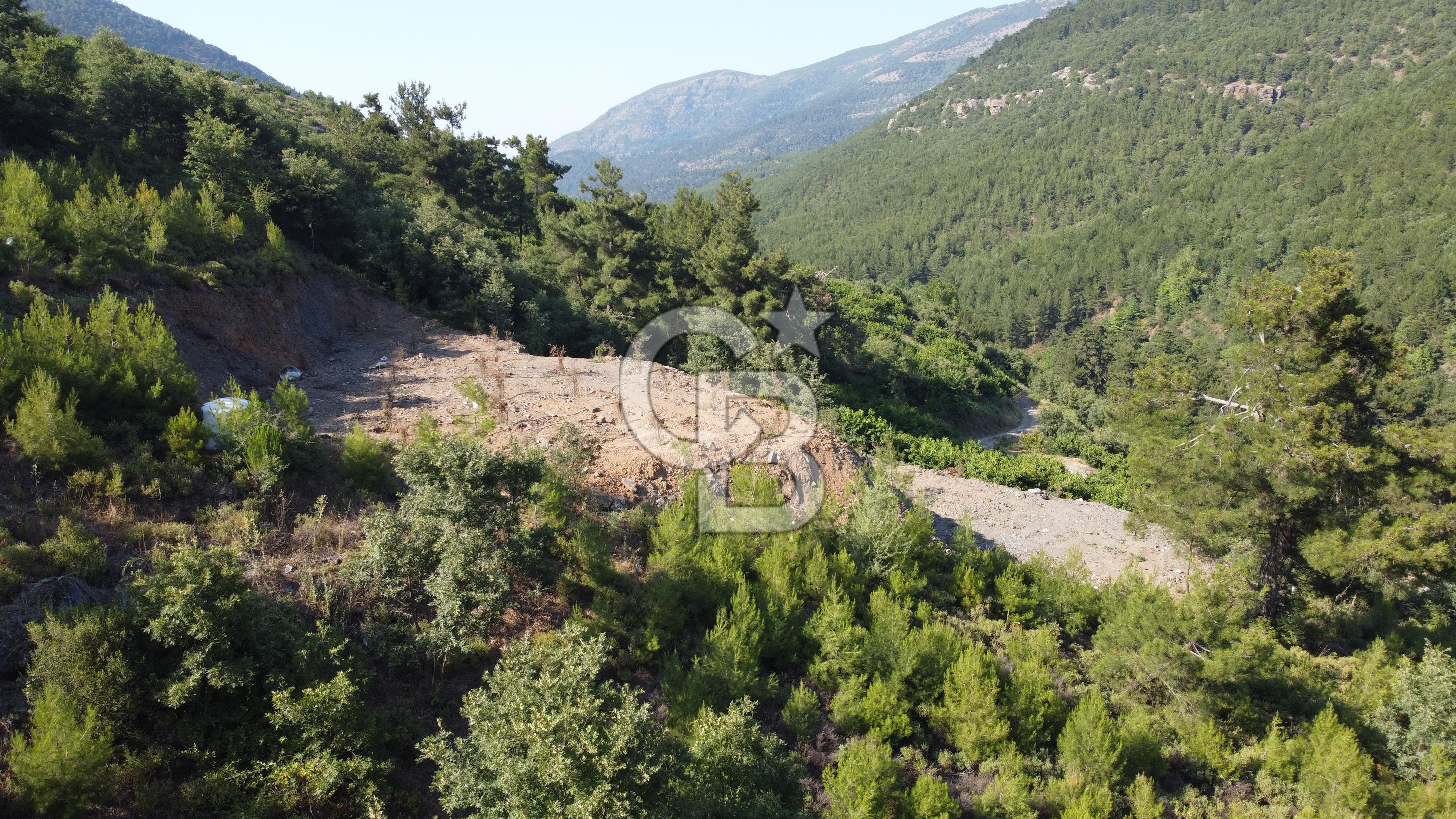 YENİKURUDERE DE YOLU AÇIK MANZARALI SUYU OLAN SATILIK ARAZİ 