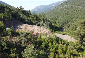 YENİKURUDERE DE YOLU AÇIK MANZARALI SUYU OLAN SATILIK ARAZİ 