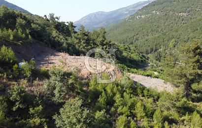 YENİKURUDERE DE YOLU AÇIK MANZARALI SUYU OLAN SATILIK ARAZİ 