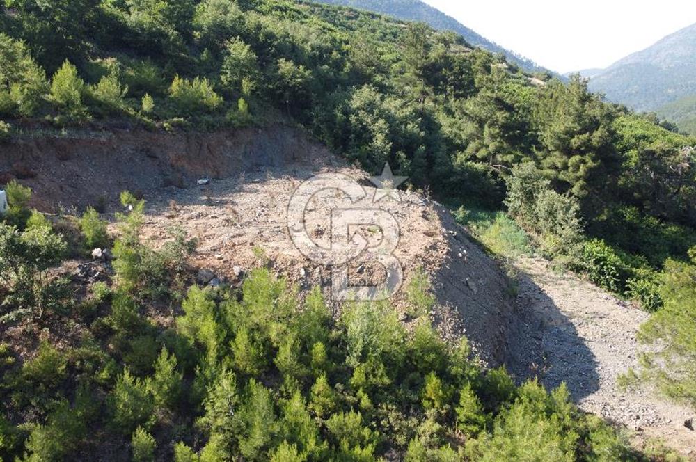 YENİKURUDERE DE YOLU AÇIK MANZARALI SUYU OLAN SATILIK ARAZİ 