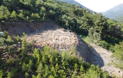 YENİKURUDERE DE YOLU AÇIK MANZARALI SUYU OLAN SATILIK ARAZİ 