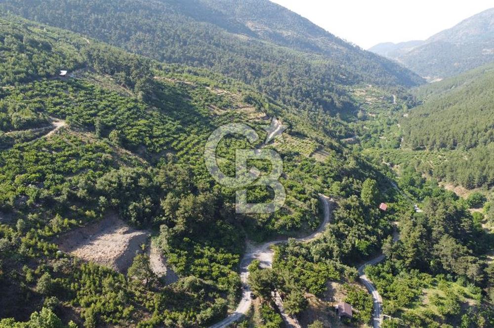 YENİKURUDERE DE YOLU AÇIK MANZARALI SUYU OLAN SATILIK ARAZİ 
