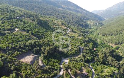 YENİKURUDERE DE YOLU AÇIK MANZARALI SUYU OLAN SATILIK ARAZİ 
