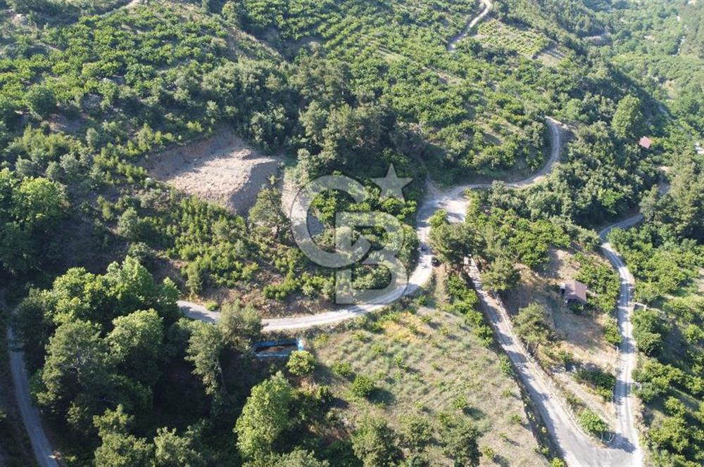YENİKURUDERE DE YOLU AÇIK MANZARALI SUYU OLAN SATILIK ARAZİ 