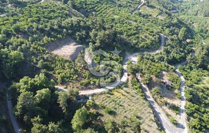 YENİKURUDERE DE YOLU AÇIK MANZARALI SUYU OLAN SATILIK ARAZİ 