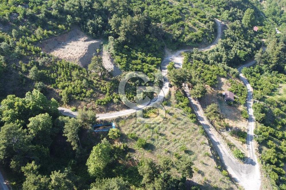 YENİKURUDERE DE YOLU AÇIK MANZARALI SUYU OLAN SATILIK ARAZİ 