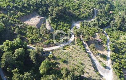 YENİKURUDERE DE YOLU AÇIK MANZARALI SUYU OLAN SATILIK ARAZİ 