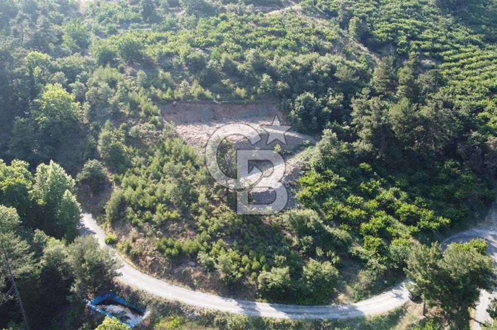 YENİKURUDERE DE YOLU AÇIK MANZARALI SUYU OLAN SATILIK ARAZİ 