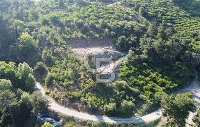 YENİKURUDERE DE YOLU AÇIK MANZARALI SUYU OLAN SATILIK ARAZİ 
