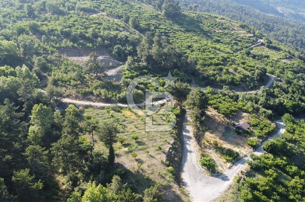 YENİKURUDERE DE YOLU AÇIK MANZARALI SUYU OLAN SATILIK ARAZİ 