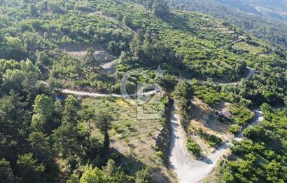 YENİKURUDERE DE YOLU AÇIK MANZARALI SUYU OLAN SATILIK ARAZİ 