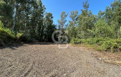 Muğla Ula Sarayyanı Satılık Tarla 