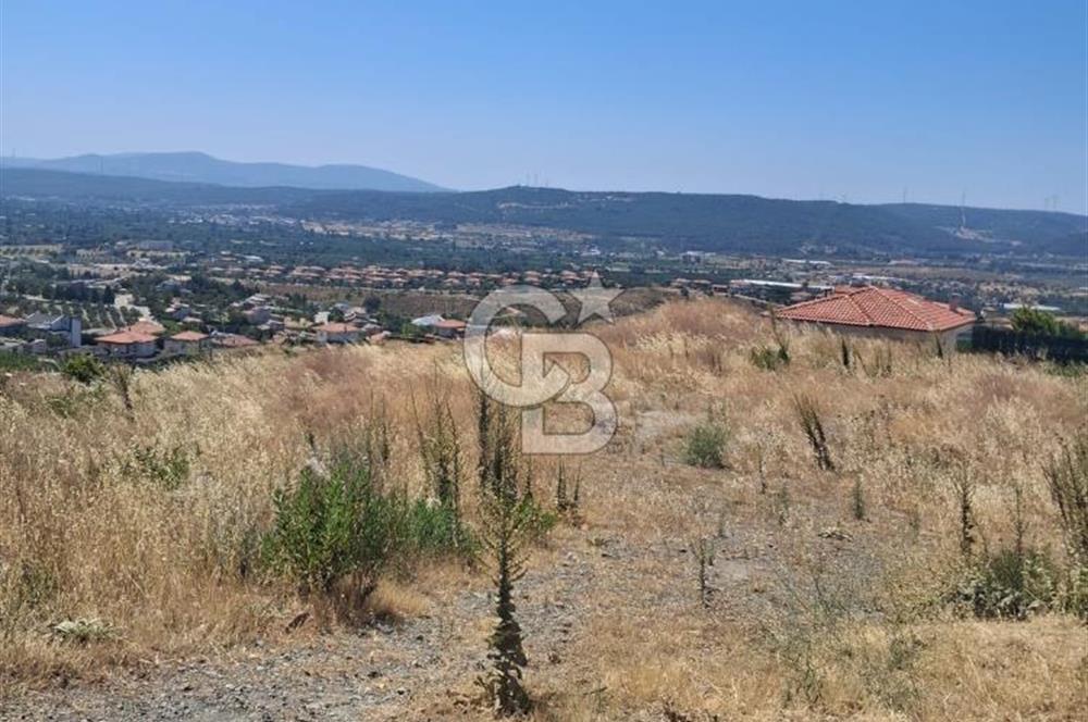 İzmir Seferihisar ulamış ta satılık arsa