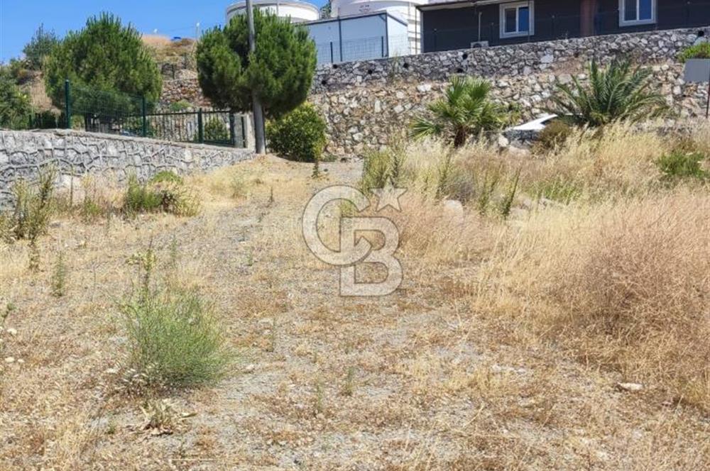 İzmir Seferihisar ulamış ta satılık arsa
