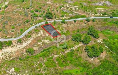 Kuşadası Soğucak’ta 442,08m² Satılık Konut İmarlı Arsa!
