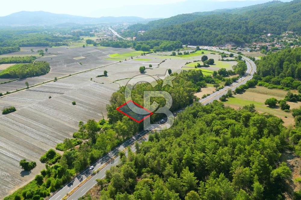 Muğla Ula Sarayyanı Satılık Tarla 